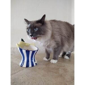 Luna & Sage Cat Drinking‎ Water Tall Bowl Lemonade Hand Painted Colorful